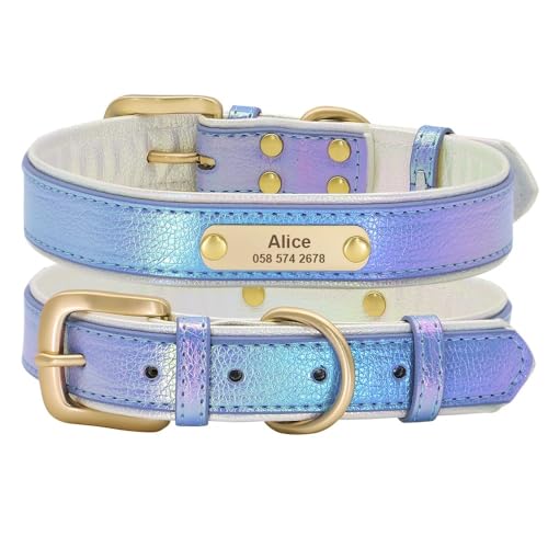 Personalisiertes Halsband Für Hunde Und Katzen,Für Welpen Und Katzen,Mit Namensschild,Anpassbar Für Kleine Und Mittelgroße Hunde,Pitbull,Blue,30-39cm von Muziner