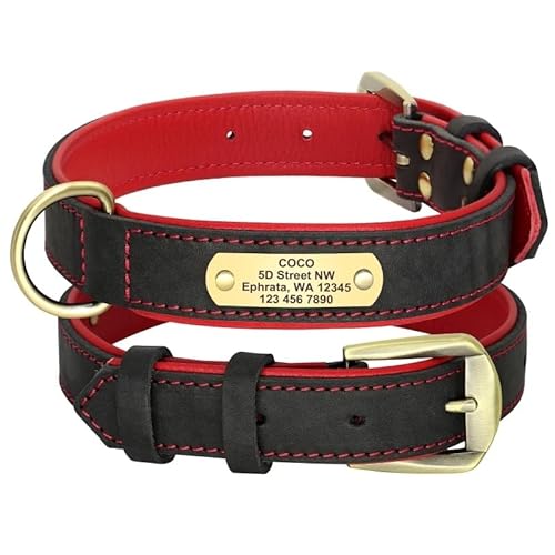 Personalisiertes Hundehalsband,Individuelles Hundehalsband,Verstellbares Haustierhalsband,Gravierter Name Für Kleine,Mittelgroße Und Große Hunde,Pitbull,Black,M von Muziner