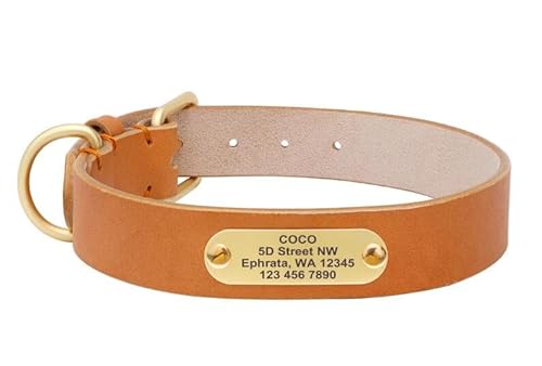 Personalisiertes Hundehalsband,Kleine,Mittelgroße Und Große Hundehalsbänder,Individuelle Haustier-ID-Halsbänder Für Hunde,Pitbull,Mit Gravur des Namens,Gelb,XL von Muziner