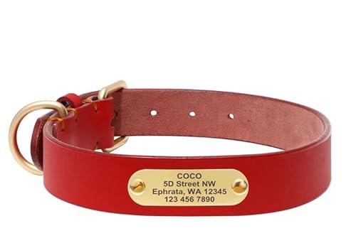 Personalisiertes Hundehalsband,Kleine,Mittelgroße Und Große Hundehalsbänder,Individuelle Haustier-ID-Halsbänder Für Hunde,Pitbull,Mit Gravur des Namens,Rot,XL von Muziner