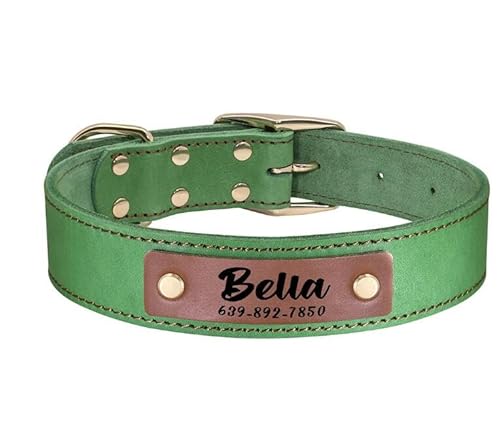 Personalisiertes Hundehalsband,Verstellbare Hundehalsbänder,Gravierte Haustier-ID-Halskette,Langlebig,Für Mittelgroße Und Große Hunde,Bulldogge,Mops,Grün,XL von Muziner