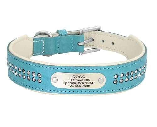 Personalisiertes Hundehalsband,Weiche Halsbänder,Halskette,Individueller ID-Name Für Kleine,Mittelgroße Und Große Hunde,Mops,Blue,XS von Muziner