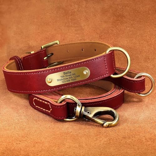 Personalisiertes Hundehalsband-Leine-Set,Individuelle Hundehalsbänder Mit Graviertem Namensschild Für Kleine,Mittelgroße Und Große Hunde,Pitbull,Rotes Set,2XL von Muziner