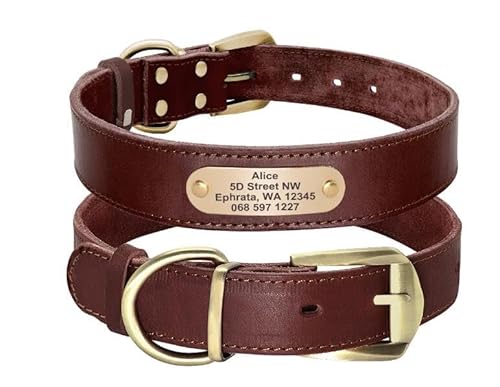 Personalisiertes Hundehalsband Pitbull,Personalisierte Hundehalsbänder Mit Gravierter Haustier-ID-Halskette,Verstellbar Für Kleine,Mittelgroße Und Große Hunde,Braun,XL von Muziner