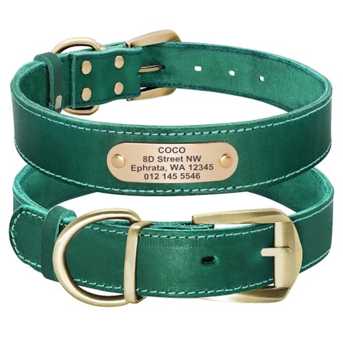Personalisiertes Hundehalsband Pitbull,Personalisierte Hundehalsbänder Mit Gravierter Haustier-ID-Halskette,Verstellbar Für Kleine,Mittelgroße Und Große Hunde,Grün,XL von Muziner