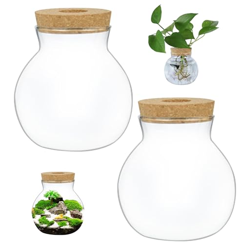 Terrariumglas transparent rundes Glas Terrarium, 2pcs Kaliber 2,6 Zoll Landschaftsgläser mit Korkdeck von Muzrunq