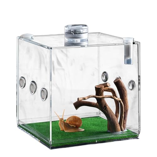 Mwqpgyh Clear Glass Reptile Container, Clear Reptile Cage, Acrylsprungspinnen -Clear Terrarium, Schwachkiste für kleine Tier mit Atemloch für Schildkröten, Schnecken, Eidechsen und Käfer von Mwqpgyh