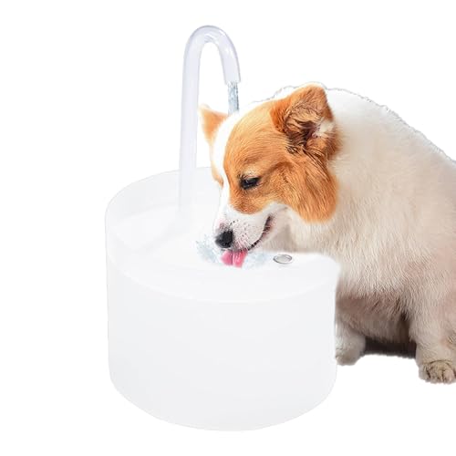 Mwqpgyh Katzen-Wasserspender Schüssel – Haustier Wasser Trinkbrunnen Wasserspender – Haustierbedarf Wasserspender für kleine, mittelgroße und große Haustiere Hund Welpen Kätzchen von Mwqpgyh