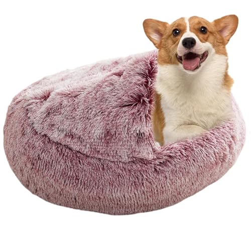 Mwqpgyh Überdachtes Katzenbett,Katzenbett mit Kapuze,Kreatives Muschelnest für Welpen | Bequemes Bett für Hauskatzen, winterwarme Katzen- und Hundehütte mit Abdeckung von Mwqpgyh