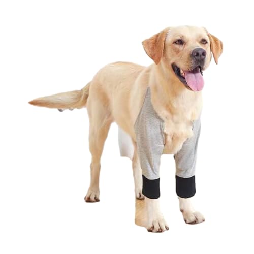 Mxming Ellenbogenbandage für Hunde, Unterstützung für verletzte Gliedmaßen, fördert den Komfort, hilft gegen Lecken, unterstützt Bandage, Sprunggelenk-Bandage für Hunde von Mxming