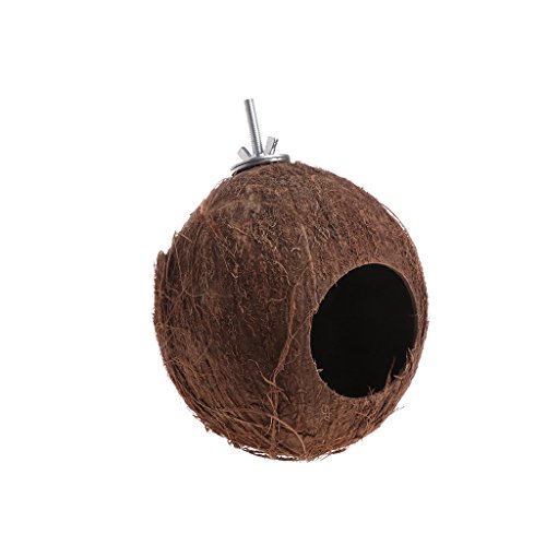 Mxming Vogelnest, 6,1 cm, Lochöffnung, Muscheln, Vogel-Nisthaus für Sittiche, Vogelspielzeug, natürliches Versteck für Käfig, Haustier von Mxming