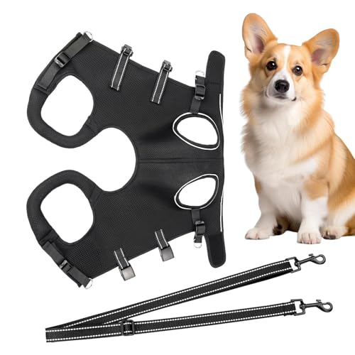 Mxshc Hundehilfsgurt Zum Heben | Reha-Geschirr Zur Beinunterstützung,Atmungsaktives & Verstellbares Stützgeschirr Für Ältere Hunde Bei Spaziergängen Mxshc Hundehilfsgurt Zum Heben | Reha-Geschirr Zur Beinunterstützung,Atmungsaktives & Verstellbares Stützgeschirr Für Ältere Hunde Bei Spaziergängen von Mxshc