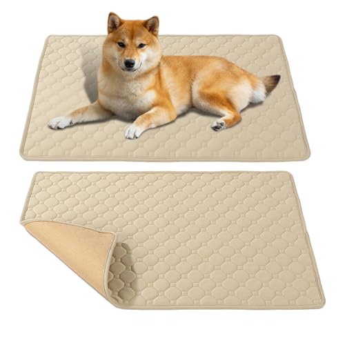 Mxshc Hundetoiletten Für Hunde, Super Saugstarke Urinunterlagen Für Hunde, Wiederverwendbare Urinmatte Für Haustiere Training Indoor Outdoor Reisen Waschen Mxshc Hundetoiletten Für Hunde, Super Saugstarke Urinunterlagen Für Hunde, Wiederverwendbare Urinmatte Für Haustiere Training Indoor Outdoor Reisen Waschen von Mxshc