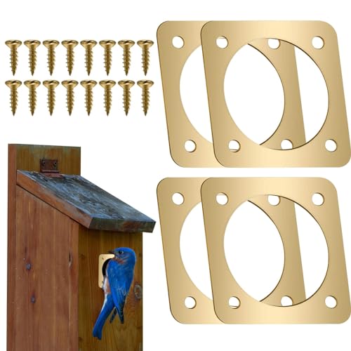 Mxshc Raubtierschutz aus Metall für Bluebird House, Raubtierschutz von Bluebird House - 4 Stück Vogelhaus-Lochschutz,Vogelhaus-Schutzgitter aus Kupfer, Metall-Vogelhaus-Lochschutz für Eastern Bluebird von Mxshc