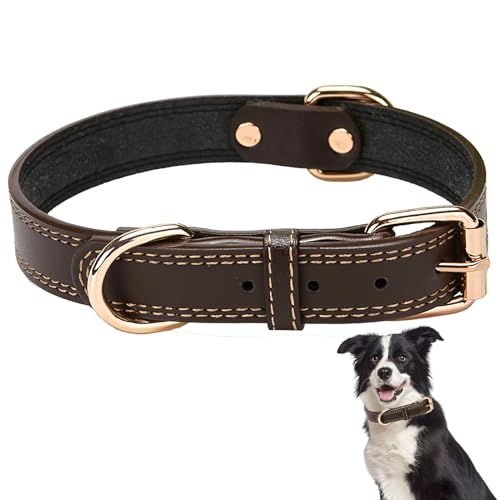 Leder Hundehalsband für Große Hunde, Lederhalsband Hund mit Weichem Gepolstertes, Langlebiges und Verstellbare, Hundehalsband Leder für Training und Spaziergänge, Braun von MxyVrix