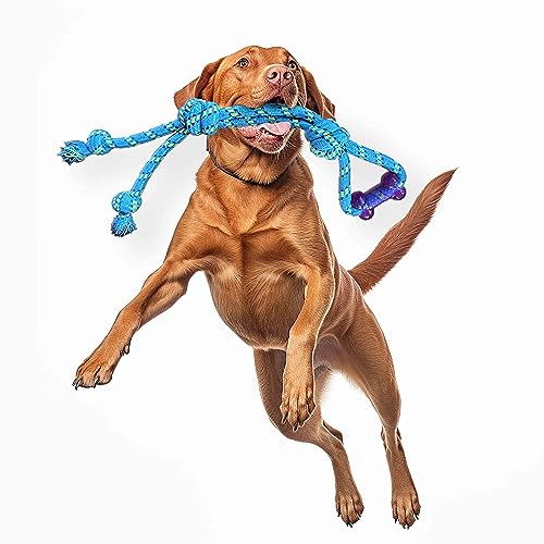 My Beastie Ruff Tug – Zahnseide Kauseil Zerren – Premium Bungee Seil Zerrspielzeug für Hunde – Interaktives Seilspielzeug (Mittelgroßer Hund) von My Beastie