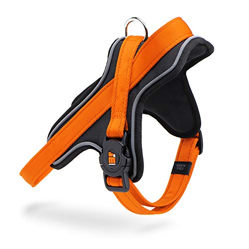 9047 Orange Nylon Memopet 2,8 cm Größe XL von My Family