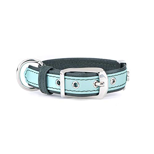 MyFamily Verstellbares Hundehalsband aus echtem italienischem Leder, hergestellt in Italien, Metall-Finish aus weißer Bronze, bequem und robust, handgefertigt, Kollektion Firenze von My Family