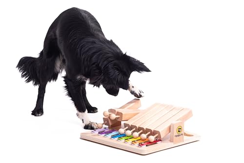 Piano - Interaktives Hundespielzeug aus Holz Intelligentes Spielzeug für Hunde und Katzen Leckerli Spender Spielzeug von My Intelligent Dogs