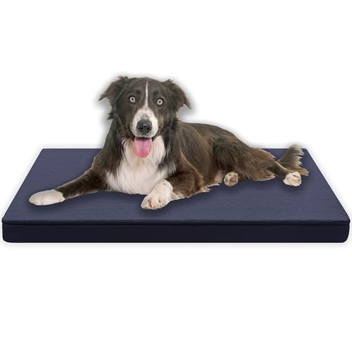 MyBestBuddy Hundematte Premium mit Vollschaum-Kern grau 120x80 cm XXL, Hundekissen mit flauschigem Stoffbezug - 40°C waschbar - Schaumstoff Hundebett für sehr große Hunde ca. 3 cm dick, 120 x 80 cm von MyBestBuddy