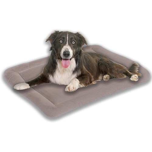 MyBestBuddy Hundekissen Komfort Hellbraun/beige 120x80 cm XXL, allergikerfreundlich (100% Polyester), rutschfest - 40°C waschbar mit flauschigem Bezug - Hundematte BZW Hundebett für sehr große Hunde von MyBestBuddy