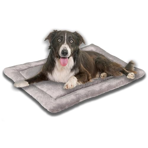 MyBestBuddy Hundekissen Komfort grau 70x50 cm M, allergikerfreundlich (100% Polyester), rutschfest - 40°C waschbar mit flauschigem Stoffbezug - Hundematte BZW. Hundebett für mittelgroße Hunde von MyBestBuddy