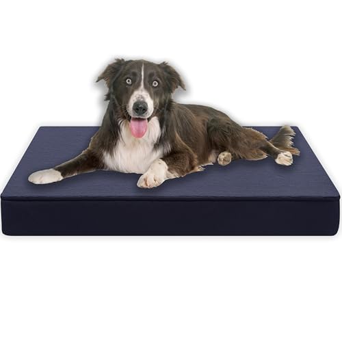 MyBestBuddy Hundekissen orthopädisch mit 8 cm Vollschaum-Kern grau 120x80 cm XXL, Hundebett mit flauschigem Stoffbezug - 40°C waschbar - Hundematte für sehr große Hunde ca. 8 cm dick, 120 x 80 cm von MyBestBuddy