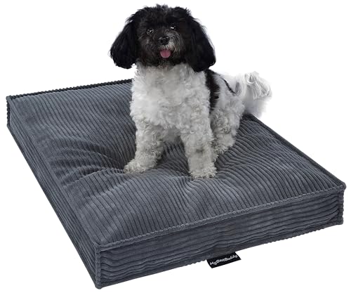 MyBestBuddy Hundekissen Visco grau 80x60 cm L mit POSO-Cord Stoff mit Viscoseschaum und Komfortschaum-Flocken, 40°C waschbar - Hundebett/Haustierbett für mittelgroße Hunde, 80 x 60 cm von MyBestBuddy