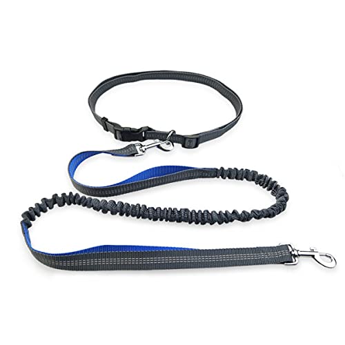 Pet Leash Dog Running Reflective Strap Elastisches passendes Seil für kleine und mittlere Hunde von MyHaing