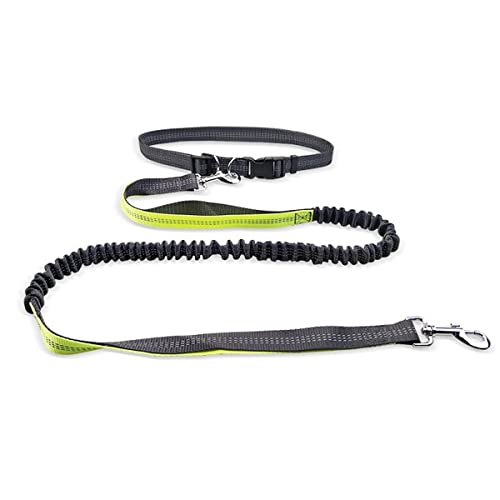 Pet Leash Dog Running Reflective Strap Elastisches passendes Seil für kleine und mittlere Hunde von MyHaing