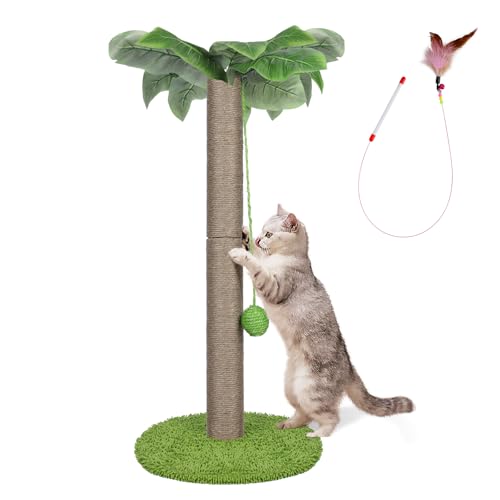 Myiosus Katzenkratzbaum, 85 cm hoch Katzenkratzbäume für Indoor-Katzen und Kätzchen mit hängendem Ball, Katzenkrallenkratzstange Kitty Kletterbaum mit Sisalseil und weichem Plüsch, faltbarer Boden von Myiosus