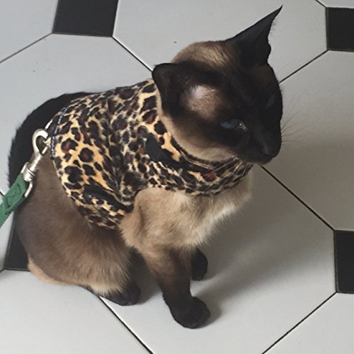 Mynwood Cat Jacke /Geschirre Leopard-Pelz- Erwachsene Katze ausbruchsicher von Mynwood Cat Jacket