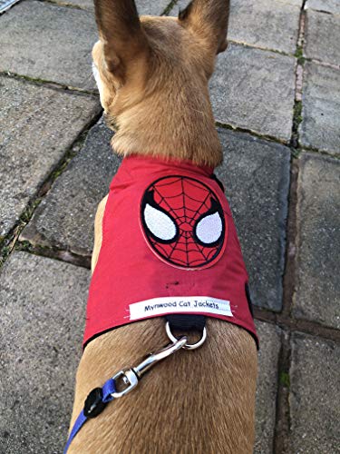 Mynwood Cat Jacket Geschirr für Kätzchen oder ausgewachsene Katzen (Spiderman, Kätzchen) von Mynwood Cat Jacket