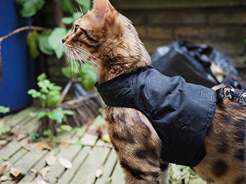 Mynwood Katzenjacke/-Geschirr Schwarz für ausgewachsene Katzen von Mynwood Cat Jacket