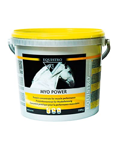 EQUISTRO® Myo Power | Ergänzungsfuttermittel für Pferde | Aminosäurekonzentrat zur Unterstützung des Muskelaufbaus | kann Ausdauer und Kondition begünstigen | 2,3kg von Vetoquinol - Equistro