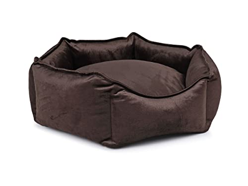 Mypado Hexo Velvet Hundebett sechseckig mit Samtbezug Hundesofa mit 6 Schnüffelecken von Mypado