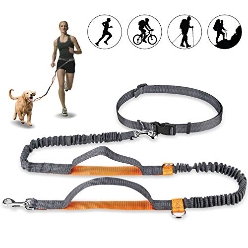 Achort Handfreie Hundeleine, Hundegürtel,Taillengürtel, Hundeleine, Koppler, Lauf- und Jogging-Leine, Gürtel mit einziehbarem Bungee, reflektierende Nähte für bis zu 110 kg Hunde (Orange) von Achort