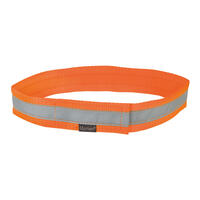 Mystique® Signalhalsband [45cm - neonorange] von Mystique