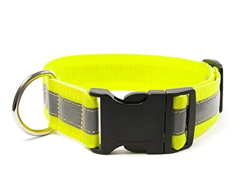 Mystique® Signalhalsband mit Klickverschluss 40mm Neongelb 40-50cm von Mystique