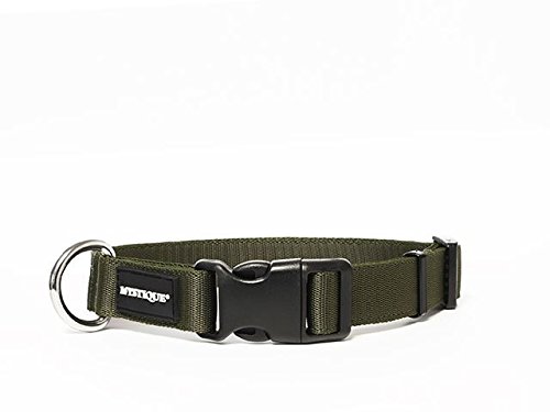 Mystique Nylon Halsband Profi 25mm (30 - 40 cm, khaki) von Mystique