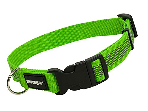 Mystique gummiertes Halsband 25mm Breite neongrün, Variante: 40-50cm von Mystique