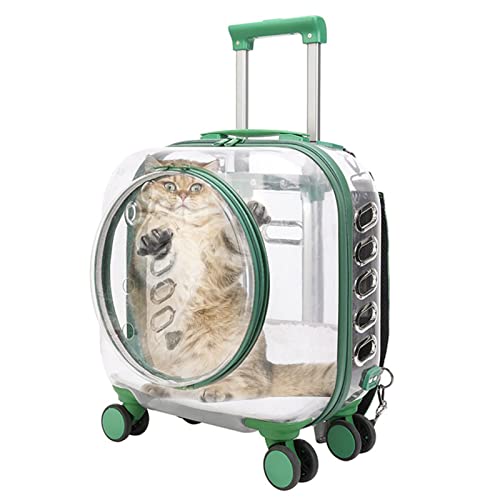 Myuilor Harte Katzentrage mit Aufklebern, Freely Breathe Reise Hundetragetasche, Fluggesellschaft Zugelassen Outdoor Katzenkiste, Katzenhütte Trolley Koffer Tragbar mit Leise Rad für Katzen und Hunde von Myuilor