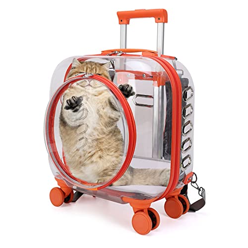 Harte Katzentrage mit Aufklebern, Freely Breathe Reise Hundetragetasche, Fluggesellschaft Zugelassen Outdoor Katzenkiste, Katzenhütte Trolley Koffer Tragbar mit Leise Rad für Katzen und Hunde von Myuilor