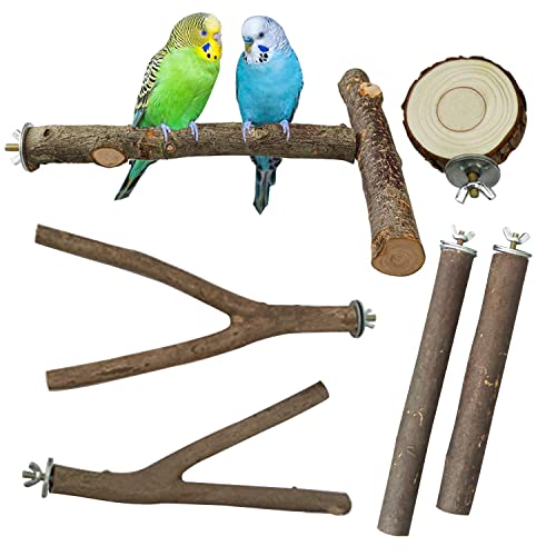 Allazone 6-teilige Sitzstangen-Set, T-Form Naturholz, für Vogel & Papagei, Natürlicher Sitzstangen, Vögel Spielzeug von Allazone