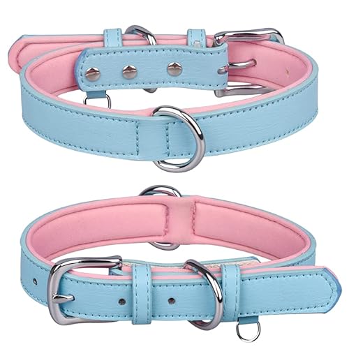 Hundehalsband aus echtem Leder für kleine, mittelgroße und große Hunde, verstellbar, weich, atmungsaktiv, bequem, gepolstert, Welpenhalsband, Größe XS: 20–26 cm, Blau von N\A