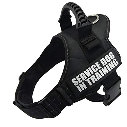 Kleine Hunde Chihuahua Husky Pitbull Hund Katze Sling Leine Hundebedarf L 's Dog Sling Nylon Reflektierende Weste Sling Sling XS-XXL von N\A