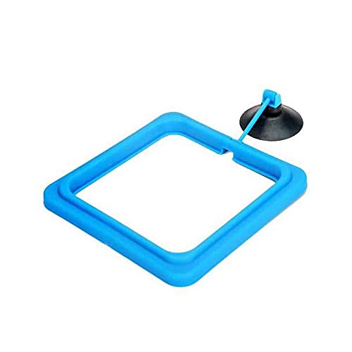 NA Aquarium-Fütterungsring Fischtankstation Floating Food-Tablett-Feeder-Quadrat-Kreis-Zubehör-Wasseranlage Auftriebs-Saugnapf,01 von N\A