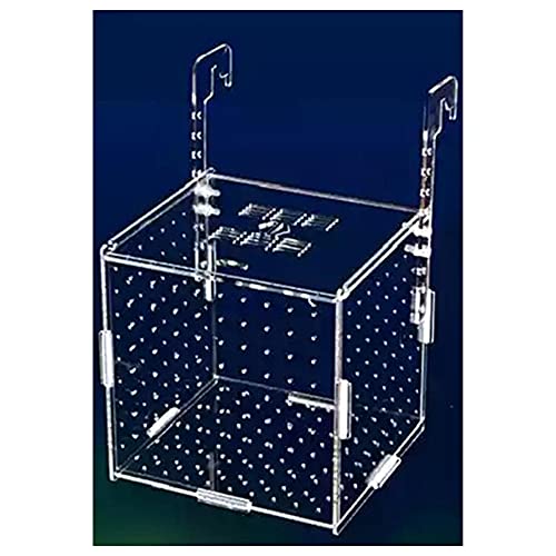 NA Aquarium Isolation Box Aquary Tank Small Fry Zuchtbox Transparent Acryl Single Grid Doppelgitter Aquarium Liefert,Hook20x10x10cm von N\A