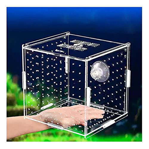 NA Aquarium Isolation Box Aquary Tank Small Fry Zuchtbox Transparent Acryl Single Grid Doppelgitter Aquarium Liefert,Sucker20x10x10cm von N\A