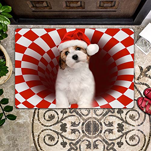 NA Fussmatte Aussen Haustür Bichon Weihnachten – Hunde-Fußmatte, Willkommensmatte, Heimdekoration, Geschenk für Hundeliebhaber, lustige Fußmatte, Geschenkidee Schlafzimmer deko Wohnzimmer von N\\A